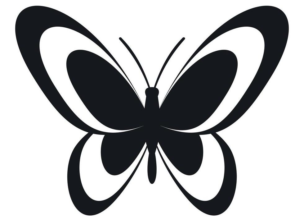 Volver a la página Principal